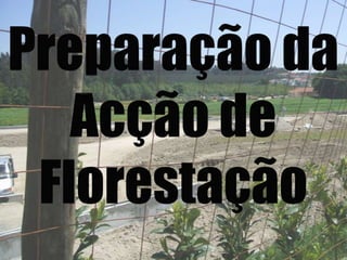 Preparação da Acção de Florestação