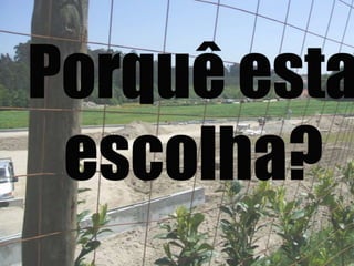 Porquê esta escolha?