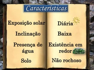 CaracterísticasExposição solarDiáriaInclinaçãoBaixaPresença de águaExistência em redorNão rochosoSolo
