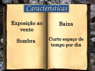 CaracterísticasExposição ao ventoBaixaCurto espaço de tempo por diaSombra