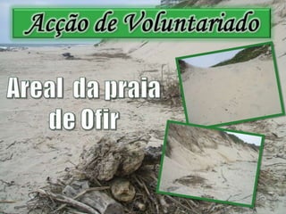 Acção de VoluntariadoAreal  da praia de Ofir