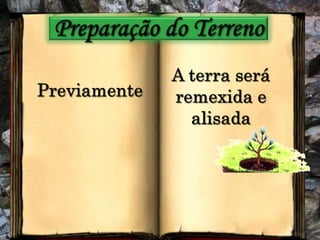 Preparação do TerrenoA terra será remexida e alisadaPreviamente
