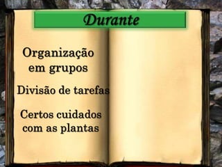 DuranteOrganização em gruposDivisão de tarefasCertos cuidados com as plantas