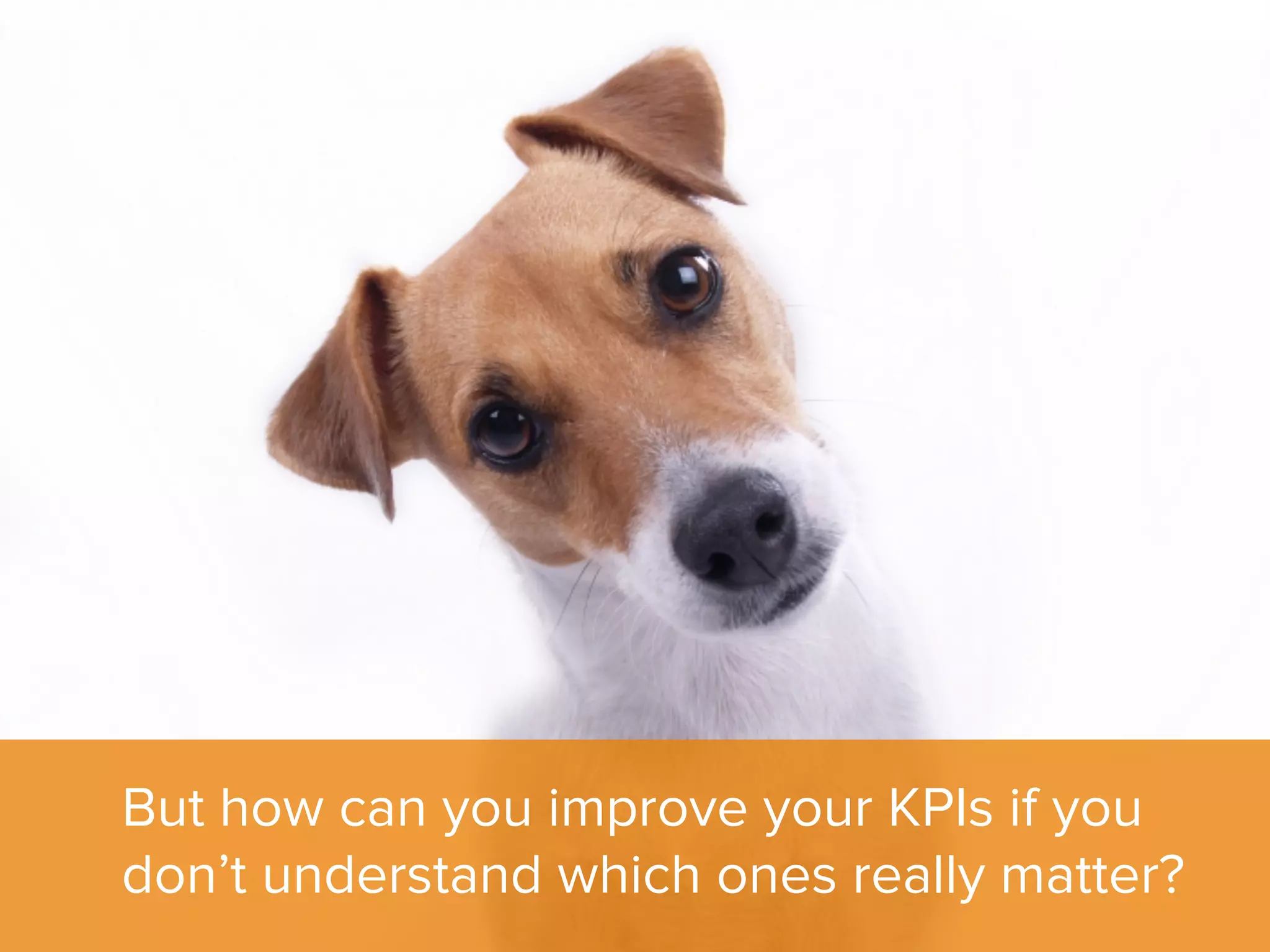 But how can you improve your KPIs if you
don’t understand which ones really matter?
 
