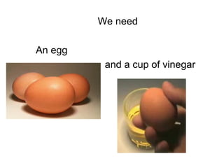We need An egg  and a cup of vinegar  