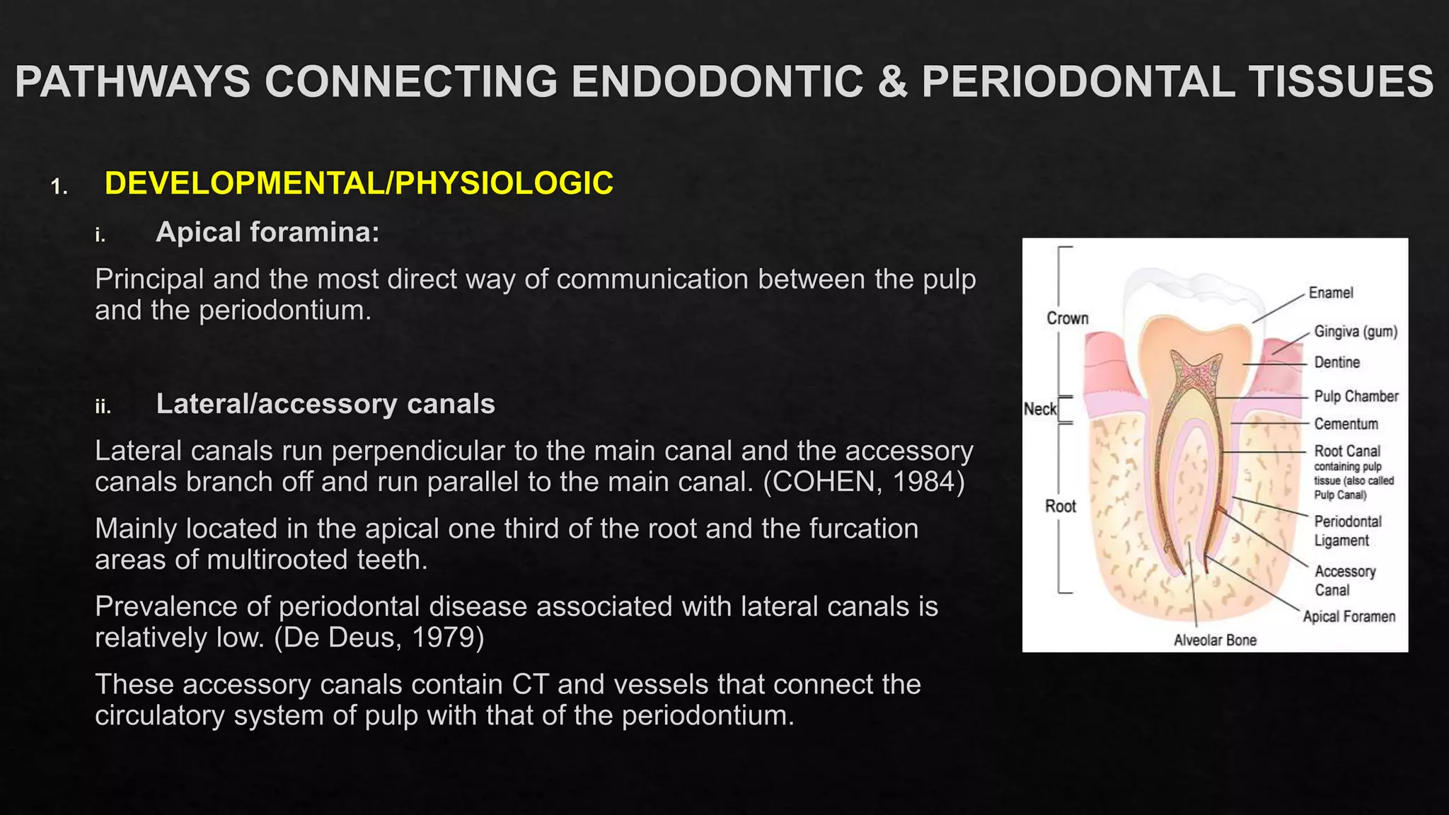 ENDOPERIO LESIONS PPT