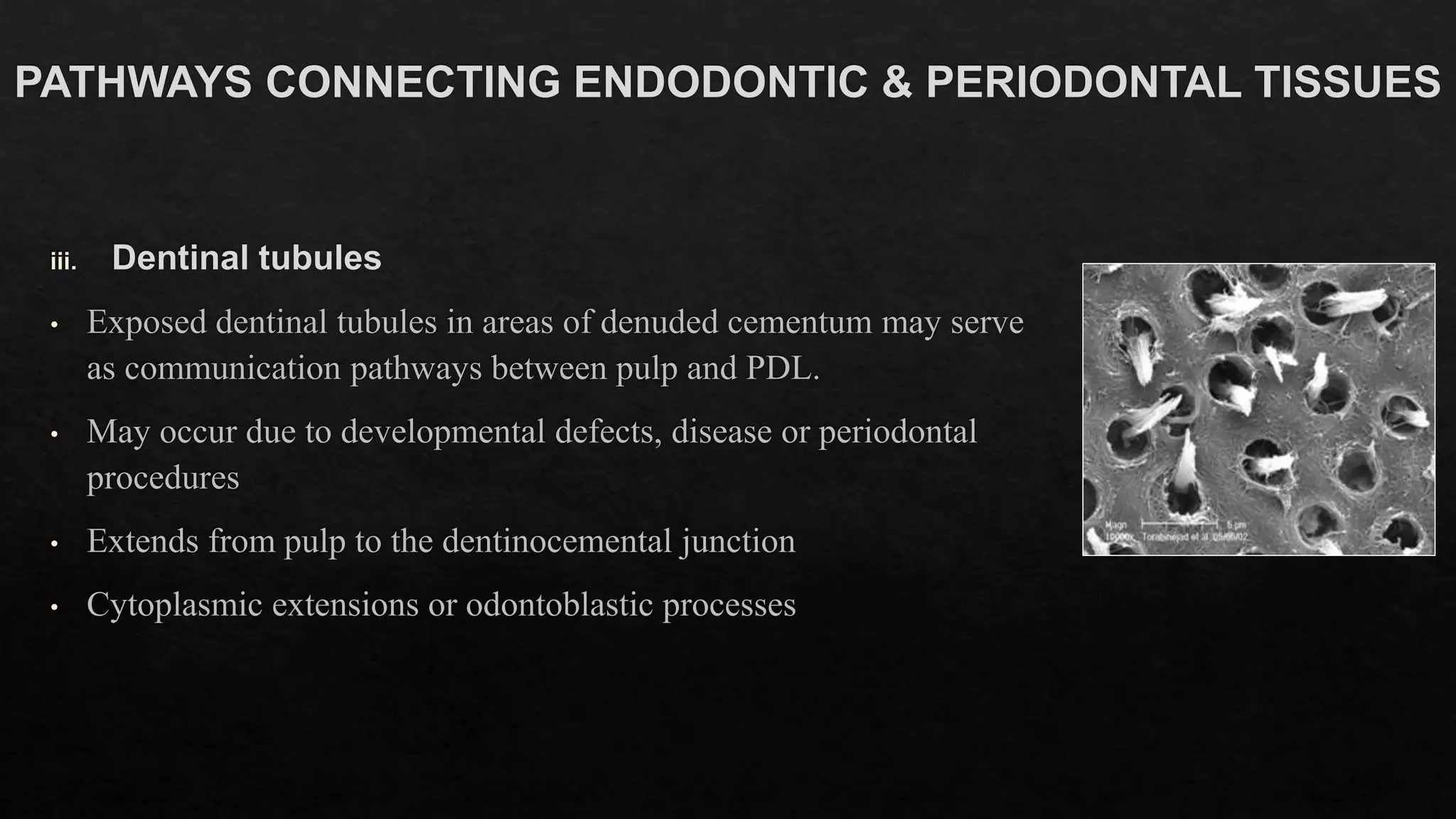 ENDOPERIO LESIONS PPT