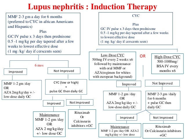 Cytoxan Lupus Dose