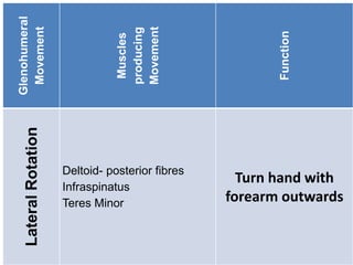 Glenohumeral
Movement
Muscles
producing
Movement
Function
Lateral
Rotation
Deltoid- posterior fibres
Infraspinatus
Teres Minor
Turn hand with
forearm outwards
 