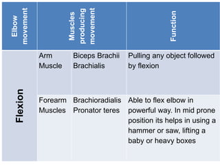 Elbow
movement
Muscles
producing
movement
Function
Flexion
Arm
Muscle
Biceps Brachii
Brachialis
Pulling any object followed
by flexion
Forearm
Muscles
Brachioradialis
Pronator teres
Able to flex elbow in
powerful way. In mid prone
position its helps in using a
hammer or saw, lifting a
baby or heavy boxes
 