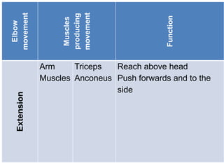 Elbow
movement
Muscles
producing
movement
Function
Extension
Arm
Muscles
Triceps
Anconeus
Reach above head
Push forwards and to the
side
 