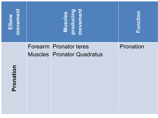 Elbow
movement
Muscles
producing
movement
Function
Pronation
Forearm
Muscles
Pronator teres
Pronator Quadratus
Pronation
 