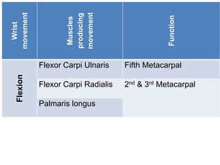 Wrist
movement
Muscles
producing
movement
Function
Flexion
Flexor Carpi Ulnaris Fifth Metacarpal
Flexor Carpi Radialis 2nd & 3rd Metacarpal
Palmaris longus
 
