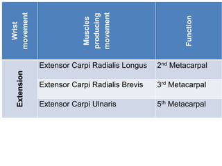 Wrist
movement
Muscles
producing
movement
Function
Extension
Extensor Carpi Radialis Longus 2nd Metacarpal
Extensor Carpi Radialis Brevis 3rd Metacarpal
Extensor Carpi Ulnaris 5th Metacarpal
 