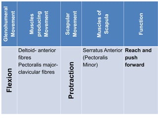 Glenohumeral
Movement
Muscles
producing
Movement
Scapular
Movement
Muscles
of
Scapula
Function
Flexion
Deltoid- anterior
fibres
Pectoralis major-
clavicular fibres Protraction
Serratus Anterior
(Pectoralis
Minor)
Reach and
push
forward
 