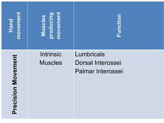 Hand
movement
Muscles
producing
movement
Function
Precision
Movement
Intrinsic
Muscles
Lumbricals
Dorsal Interossei
Palmar Interossei
 