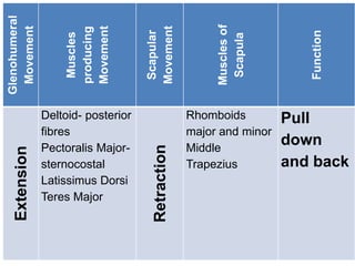 Glenohumeral
Movement
Muscles
producing
Movement
Scapular
Movement
Muscles
of
Scapula
Function
Extension
Deltoid- posterior
fibres
Pectoralis Major-
sternocostal
Latissimus Dorsi
Teres Major
Retraction
Rhomboids
major and minor
Middle
Trapezius
Pull
down
and back
 