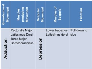 Glenohumeral
Movement
Muscles
producing
Movement
Scapular
Movement
Muscles
of
Scapula
Function
Adduction
Pectoralis Major
Latissimus Dorsi
Teres Major
Coracobrachialis
Depression
Lower trapezius,
Latissimus dorsi
Pull down to
side
 