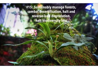 #15: Sustainably manage forests,
combat desertiﬁcation, halt and
reverse land degradation,
halt biodiversity loss
 