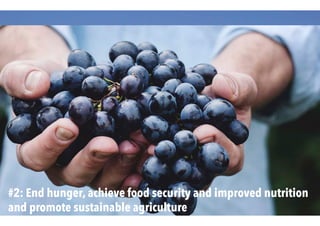 #2: End hunger, achieve food security and improved nutrition
and promote sustainable agriculture
 