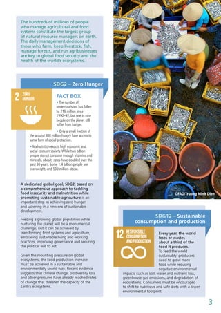 SDG12 – Sustainable
consumption and production
©FAO/Truong Minh Dien
A dedicated global goal, SDG2, based on
a comprehensive approach to tackling
food insecurity and malnutrition while
promoting sustainable agriculture is an
important step to achieving zero hunger
and ushering in a new era of sustainable
development.
Feeding a growing global population while
nurturing the planet will be a monumental
challenge, but it can be achieved by
transforming food systems and agriculture,
embracing sustainable living and working
practices, improving governance and securing
the political will to act.
Given the mounting pressure on global
ecosystems, the food production increase
must be achieved in a sustainable and
environmentally sound way. Recent evidence
suggests that climate change, biodiversity loss
and other pressures have already reached rates
of change that threaten the capacity of the
Earth’s ecosystems.
FACT BOX
• The number of
undernourished has fallen
by 216 million since
1990–92, but one in nine
people on the planet still
suffer from hunger.
• Only a small fraction of
the around 800 million hungry have access to
some form of social protection.
• Malnutrition exacts high economic and
social costs on society. While two billion
people do not consume enough vitamins and
minerals, obesity rates have doubled over the
past 30 years. Some 1.4 billion people are
overweight, and 500 million obese.
SDG2 – Zero Hunger
Every year, the world
loses or wastes
about a third of the
food it produces.
To feed the world
sustainably, producers
need to grow more
food while reducing
negative environmental
impacts such as soil, water and nutrient loss,
greenhouse gas emissions, and degradation of
ecosystems. Consumers must be encouraged
to shift to nutritious and safe diets with a lower
environmental footprint.
The hundreds of millions of people
who manage agricultural and food
systems constitute the largest group
of natural resource managers on earth.
The daily management decisions of
those who farm, keep livestock, fish,
manage forests, and run agribusinesses
are key to global food security and the
health of the world’s ecosystems.
3
 