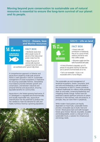 5
Moving beyond pure conservation to sustainable use of natural
resources is essential to ensure the long-term survival of our planet
and its people.
SDG14 – Oceans, Seas
and Marine resources
A comprehensive approach to fisheries and
aquaculture targeting small-scale artisanal
fishers is well captured in SDG14. Sustainable
management of ocean ecosystems is imperative
for ensuring sustainable fisheries. Stewardship
must balance priorities between growth and
conservation, and between industrial and
artisanal fisheries and aquaculture, ensuring
equitable benefits for communities.
Aquaculture is the fastest-growing food sector. If
it is developed in a regulated and environmentally
and socially responsible way, aquaculture
intensification has the potential to produce the
fish needed to meet the demand for safe and
highly nutritious food by a growing population.
The sustainable use and management of
terrestrial ecosystems, forests, mountains, land
and soils and biodiversity is well articulated in
the composition of SDG15. Forests contribute
to decent livelihoods for millions while providing
clean air and water, conserving biodiversity and
mitigating climate change. Forests have the
potential to absorb significant amounts of carbon
emissions in their biomass, soils and products. In
principle, they can store them in perpetuity.
While modern food systems are heavily
dependent on fossil fuels, sustainable forests
provide a renewable way to build, heat and
furnish. Wood grows back and well-managed
forests grow forever. Natural, recyclable, reusable
and biodegradable, wood is a vital part of any
sustainable future, a solution for infrastructure
and energy needs.
FACT BOX
FACT BOX
• Worldwide nearly three
billion people receive 20
percent of their daily animal
protein intake from fish.
• About 29 percent of
commercially important
assessed marine fish stocks
are overfished and 61 percent fully fished.
• Forests make vital
contributions to biodiversity;
they act as a source of food,
medicine and fuel for more
than a billion people.
• Mountains supply more than
half of humankind with water.
• A third of farmland is degraded, up to 75
percent of crop genetic diversity has been lost
and 22 percent of animal breeds are at risk.
• Soil is non-renewable – its loss is not
recoverable within a human lifespan.
SDG15 – Life on land
©FAO/Celis
LIFE
BELOW WATER
 