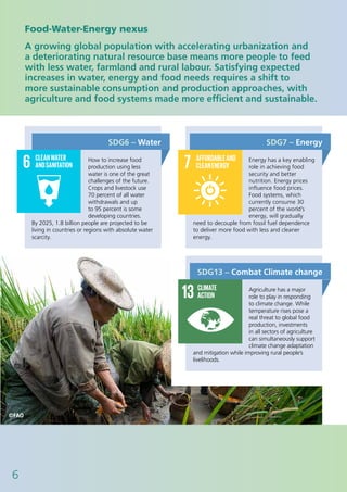 6
Food-Water-Energy nexus
A growing global population with accelerating urbanization and
a deteriorating natural resource base means more people to feed
with less water, farmland and rural labour. Satisfying expected
increases in water, energy and food needs requires a shift to
more sustainable consumption and production approaches, with
agriculture and food systems made more efficient and sustainable.
SDG6 – Water
How to increase food
production using less
water is one of the great
challenges of the future.
Crops and livestock use
70 percent of all water
withdrawals and up
to 95 percent is some
developing countries.
By 2025, 1.8 billion people are projected to be
living in countries or regions with absolute water
scarcity.
Energy has a key enabling
role in achieving food
security and better
nutrition. Energy prices
influence food prices.
Food systems, which
currently consume 30
percent of the world’s
energy, will gradually
need to decouple from fossil fuel dependence
to deliver more food with less and cleaner
energy.
SDG7 – Energy
©FAO
Agriculture has a major
role to play in responding
to climate change. While
temperature rises pose a
real threat to global food
production, investments
in all sectors of agriculture
can simultaneously support
climate change adaptation
and mitigation while improving rural people’s
livelihoods.
SDG13 – Combat Climate change
©FAO
6
 