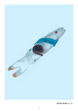 31
Afonso Breda, 6.º C
 