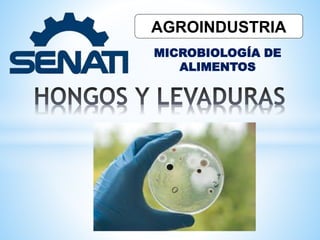 AGROINDUSTRIA
MICROBIOLOGÍA DE
ALIMENTOS
 