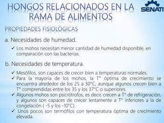Hongos Y Levaduras PPTX Hongos Y Levaduras PPTX