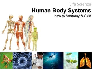 Life Science
Human Body Systems
Intro to Anatomy & Skin
 
