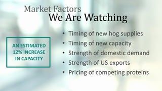 • Timing of new hog supplies
• Timing of new capacity
• Strength of domestic demand
• Strength of US exports
• Pricing of competing proteins
We Are Watching
Market Factors
AN ESTIMATED
12% INCREASE
IN CAPACITY
 