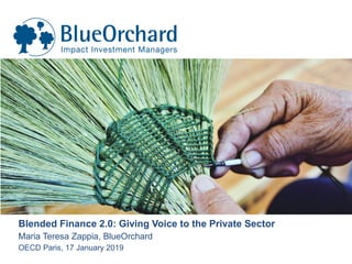 Blended Finance 2.0: Giving Voice to the Private Sector
Maria Teresa Zappia, BlueOrchard
OECD Paris, 17 January 2019
 