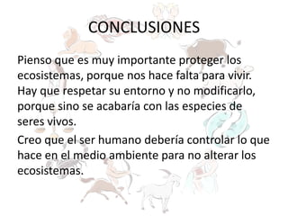 CONCLUSIONES
Pienso que es muy importante proteger los
ecosistemas, porque nos hace falta para vivir.
Hay que respetar su entorno y no modificarlo,
porque sino se acabaría con las especies de
seres vivos.
Creo que el ser humano debería controlar lo que
hace en el medio ambiente para no alterar los
ecosistemas.
 
