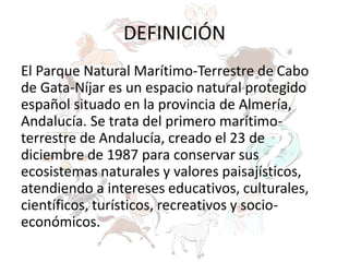 DEFINICIÓN
El Parque Natural Marítimo-Terrestre de Cabo
de Gata-Níjar es un espacio natural protegido
español situado en la provincia de Almería,
Andalucía. Se trata del primero marítimo-
terrestre de Andalucía, creado el 23 de
diciembre de 1987 para conservar sus
ecosistemas naturales y valores paisajísticos,
atendiendo a intereses educativos, culturales,
científicos, turísticos, recreativos y socio-
económicos.
 