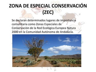 ZONA DE ESPECIAL CONSERVACIÓN
(ZEC)
Se declaran determinados lugares de importancia
comunitaria como Zonas Especiales de
Conservación de la Red Ecológica Europea Natura
2000 en la Comunidad Autónoma de Andalucía.
 