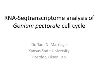 RNA-Seqtranscriptome analysis of
Gonium pectorale cell cycle
Dr. Tara N. Marriage
Kansas State University
Postdoc, Olson Lab
 
