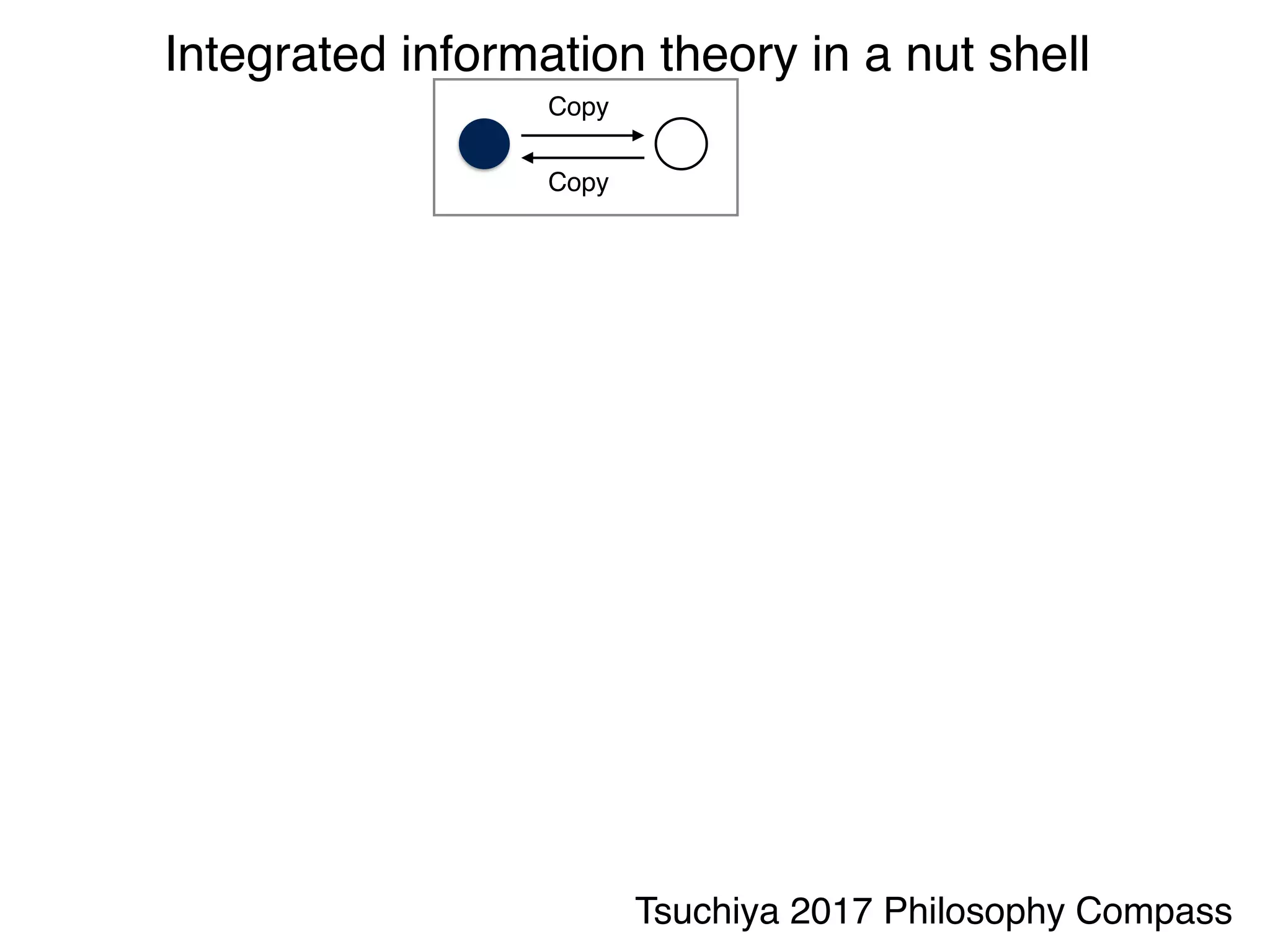 Integrated information theory in a nut shell
Copy
Copy
Tsuchiya 2017 Philosophy Compass
 