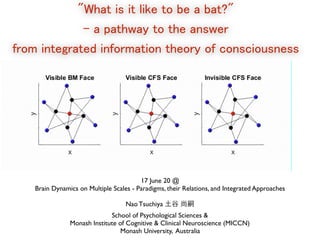 17 June 20 @
Brain Dynamics on Multiple Scales - Paradigms, their Relations, and Integrated Approaches
Nao Tsuchiya 土谷 尚嗣
School of Psychological Sciences &
Monash Institute of Cognitive & Clinical Neuroscience (MICCN)
Monash University, Australia
"What is it like to be a bat?"
- a pathway to the answer
from integrated information theory of consciousness
 
