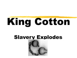 King Cotton Slavery Explodes 