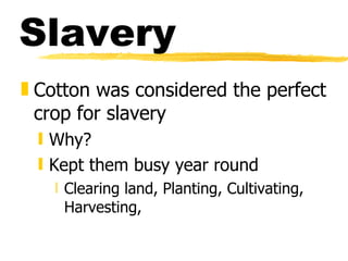 Slavery Cotton was considered the perfect crop for slavery Why? Kept them busy year round Clearing land, Planting, Cultivating, Harvesting,  