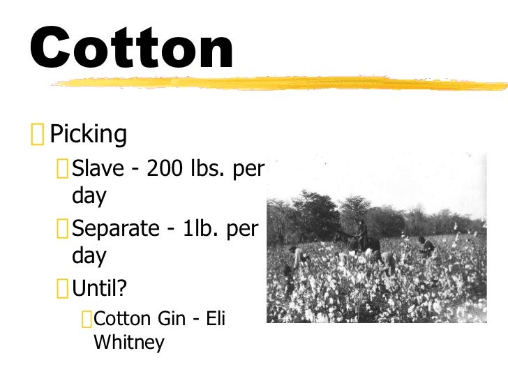 17 king cotton slavery (11)