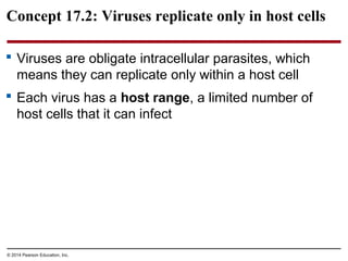 © 2014 Pearson Education, Inc.
Concept 17.2: Viruses replicate only in host cells
 Viruses are obligate intracellular parasites, which
means they can replicate only within a host cell
 Each virus has a host range, a limited number of
host cells that it can infect
 