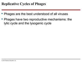 © 2014 Pearson Education, Inc.
Replicative Cycles of Phages
 Phages are the best understood of all viruses
 Phages have two reproductive mechanisms: the
lytic cycle and the lysogenic cycle
 