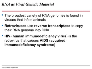 © 2014 Pearson Education, Inc.
RNA as Viral Genetic Material
 The broadest variety of RNA genomes is found in
viruses that infect animals
 Retroviruses use reverse transcriptase to copy
their RNA genome into DNA
 HIV (human immunodeficiency virus) is the
retrovirus that causes AIDS (acquired
immunodeficiency syndrome)
 