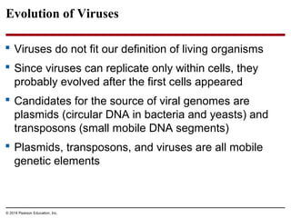 © 2014 Pearson Education, Inc.
Evolution of Viruses
 Viruses do not fit our definition of living organisms
 Since viruses can replicate only within cells, they
probably evolved after the first cells appeared
 Candidates for the source of viral genomes are
plasmids (circular DNA in bacteria and yeasts) and
transposons (small mobile DNA segments)
 Plasmids, transposons, and viruses are all mobile
genetic elements
 