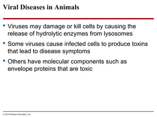 © 2014 Pearson Education, Inc.
Viral Diseases in Animals
 Viruses may damage or kill cells by causing the
release of hydrolytic enzymes from lysosomes
 Some viruses cause infected cells to produce toxins
that lead to disease symptoms
 Others have molecular components such as
envelope proteins that are toxic
 