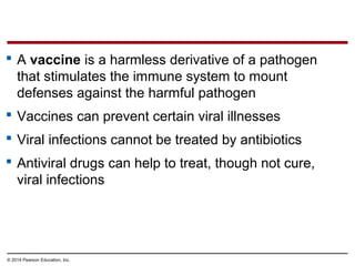 © 2014 Pearson Education, Inc.
 A vaccine is a harmless derivative of a pathogen
that stimulates the immune system to mount
defenses against the harmful pathogen
 Vaccines can prevent certain viral illnesses
 Viral infections cannot be treated by antibiotics
 Antiviral drugs can help to treat, though not cure,
viral infections
 