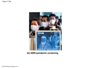 © 2014 Pearson Education, Inc.
Figure 17.8b
(b) 2009 pandemic screening
 