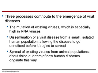 © 2014 Pearson Education, Inc.
 Three processes contribute to the emergence of viral
diseases
 The mutation of existing viruses, which is especially
high in RNA viruses
 Dissemination of a viral disease from a small, isolated
human population, allowing the disease to go
unnoticed before it begins to spread
 Spread of existing viruses from animal populations;
about three-quarters of new human diseases
originate this way
 